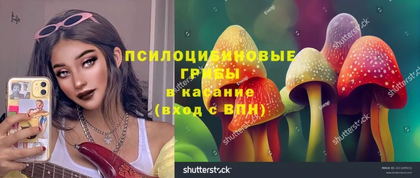 СК Абаза