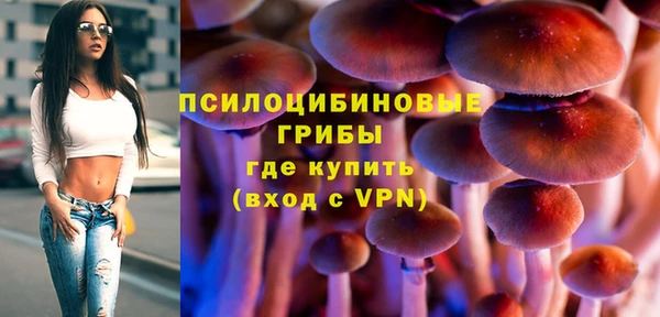 СК Абаза