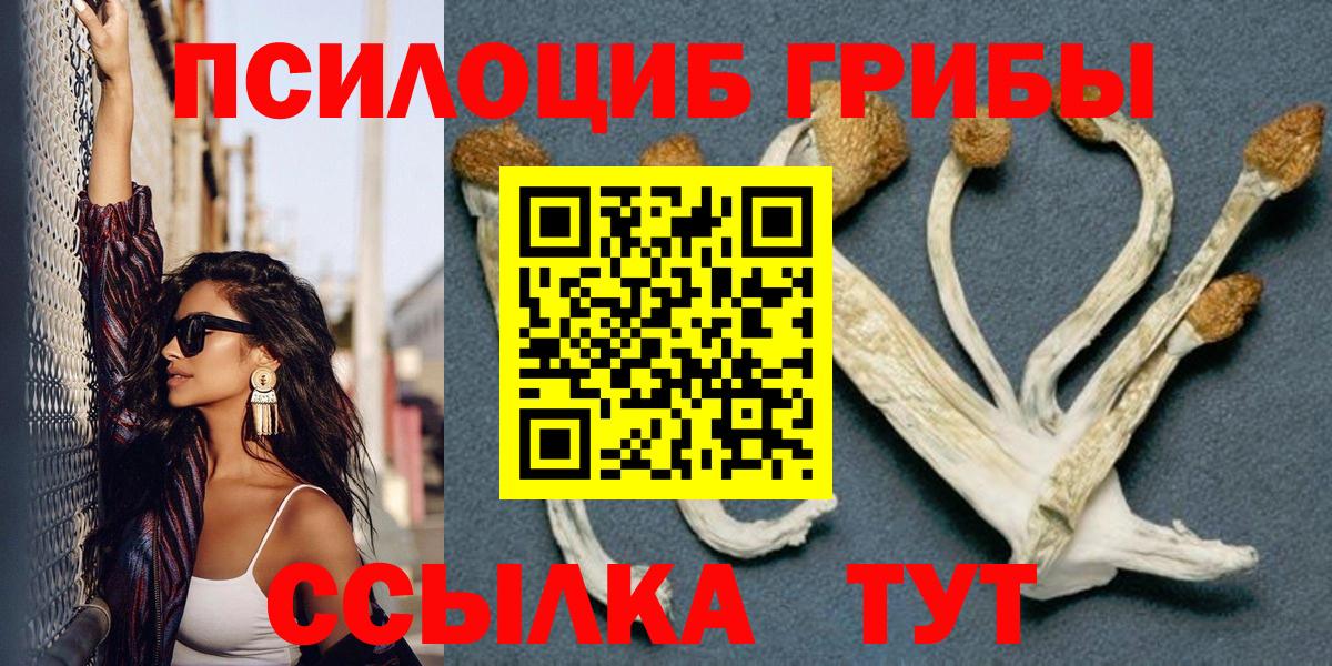 Псилоцибиновые грибы MAGIC MUSHROOMS  Галлюциногенные грибы ЛСД  Черногорск  Вход с VPN 